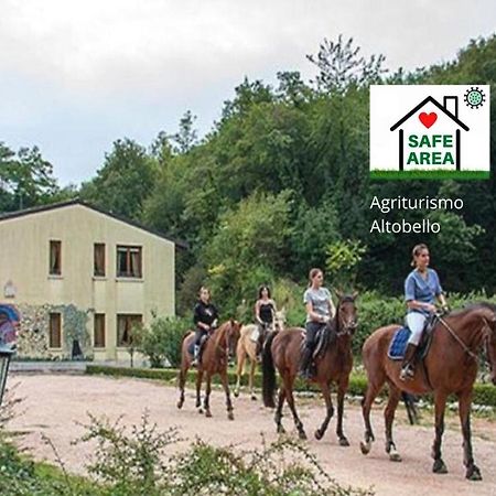 Agriturismo Altobello Верона Экстерьер фото