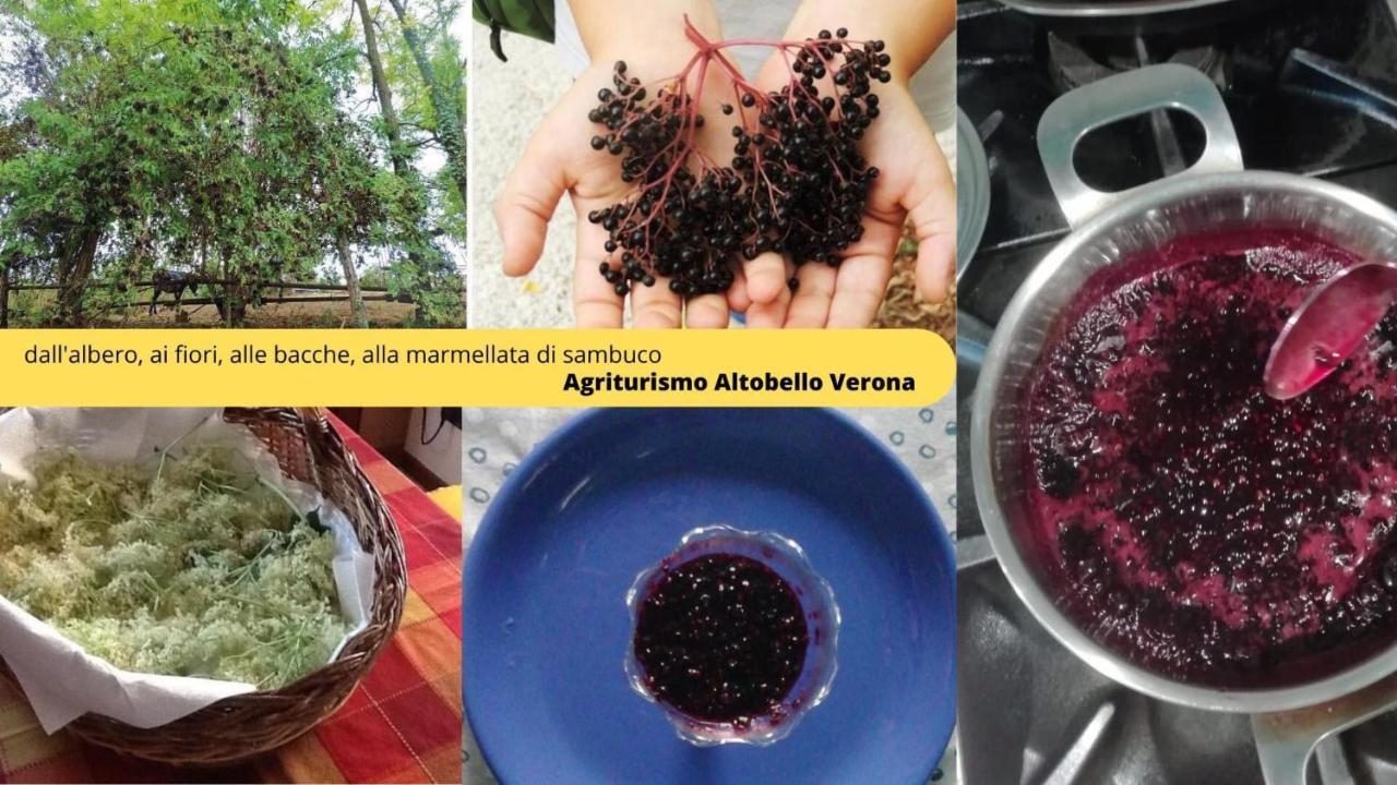 Agriturismo Altobello Верона Экстерьер фото