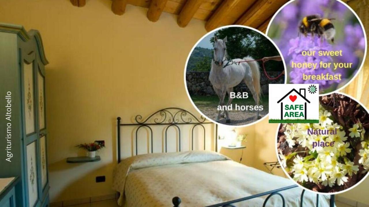 Agriturismo Altobello Верона Экстерьер фото